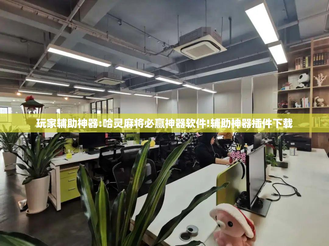 玩家辅助神器:哈灵麻将必赢神器软件!辅助神器插件下载 玩家辅助神器:哈灵麻将必赢神器软件!辅助神器插件下载