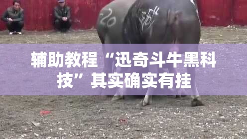 辅助教程“迅奇斗牛黑科技”其实确实有挂