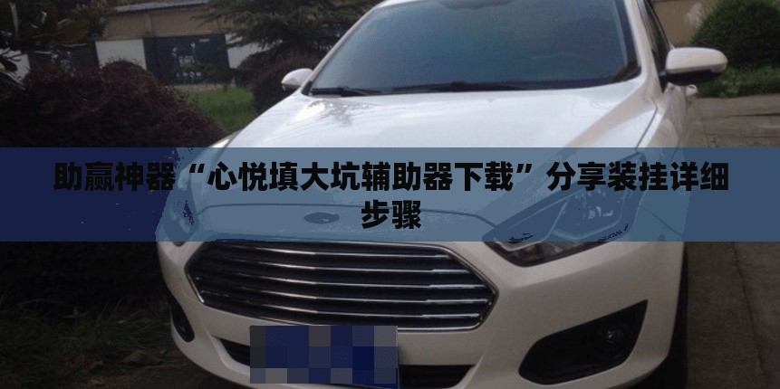 助赢神器“心悦填大坑辅助器下载	”分享装挂详细步骤