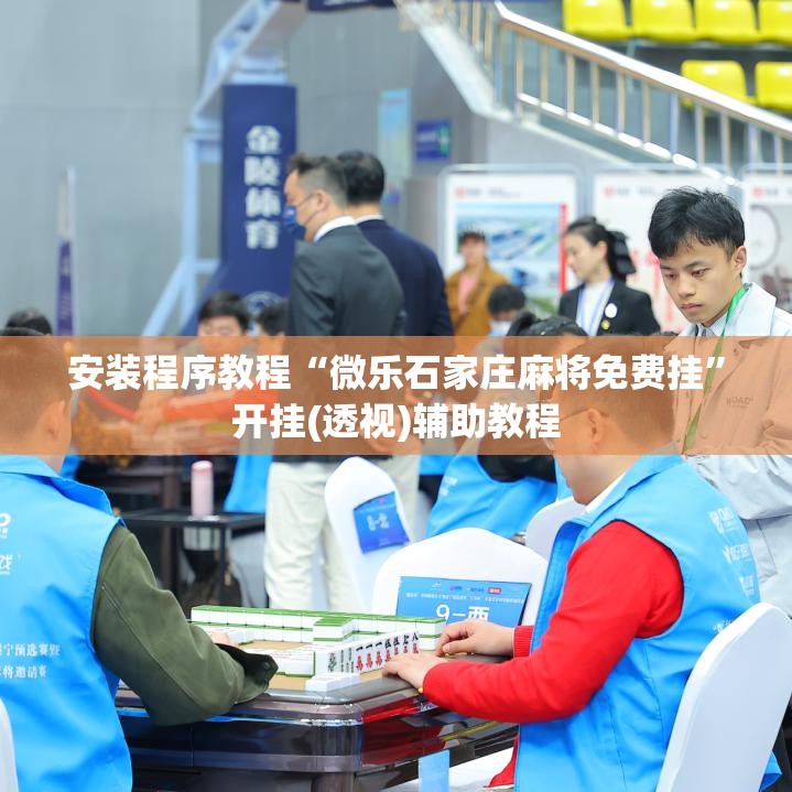 安装程序教程“微乐石家庄麻将免费挂”开挂(透视)辅助教程