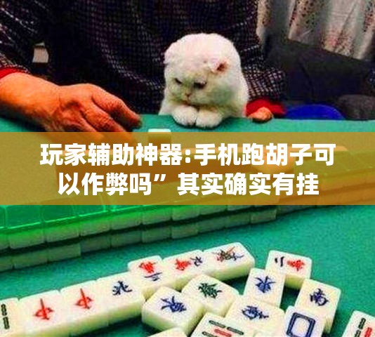 玩家辅助神器:手机跑胡子可以作弊吗	”其实确实有挂