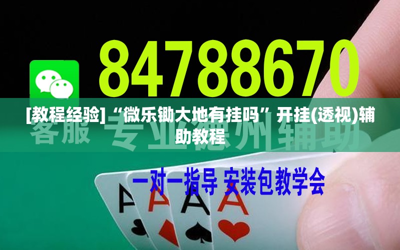 [教程经验]“微乐锄大地有挂吗”开挂(透视)辅助教程