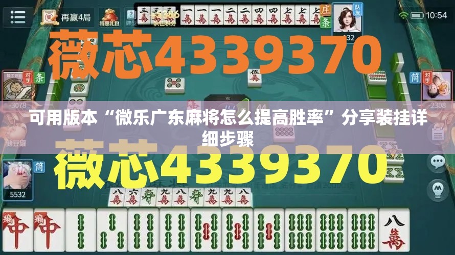 可用版本“微乐广东麻将怎么提高胜率”分享装挂详细步骤