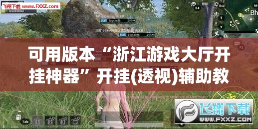 可用版本“浙江游戏大厅开挂神器”开挂(透视)辅助教程