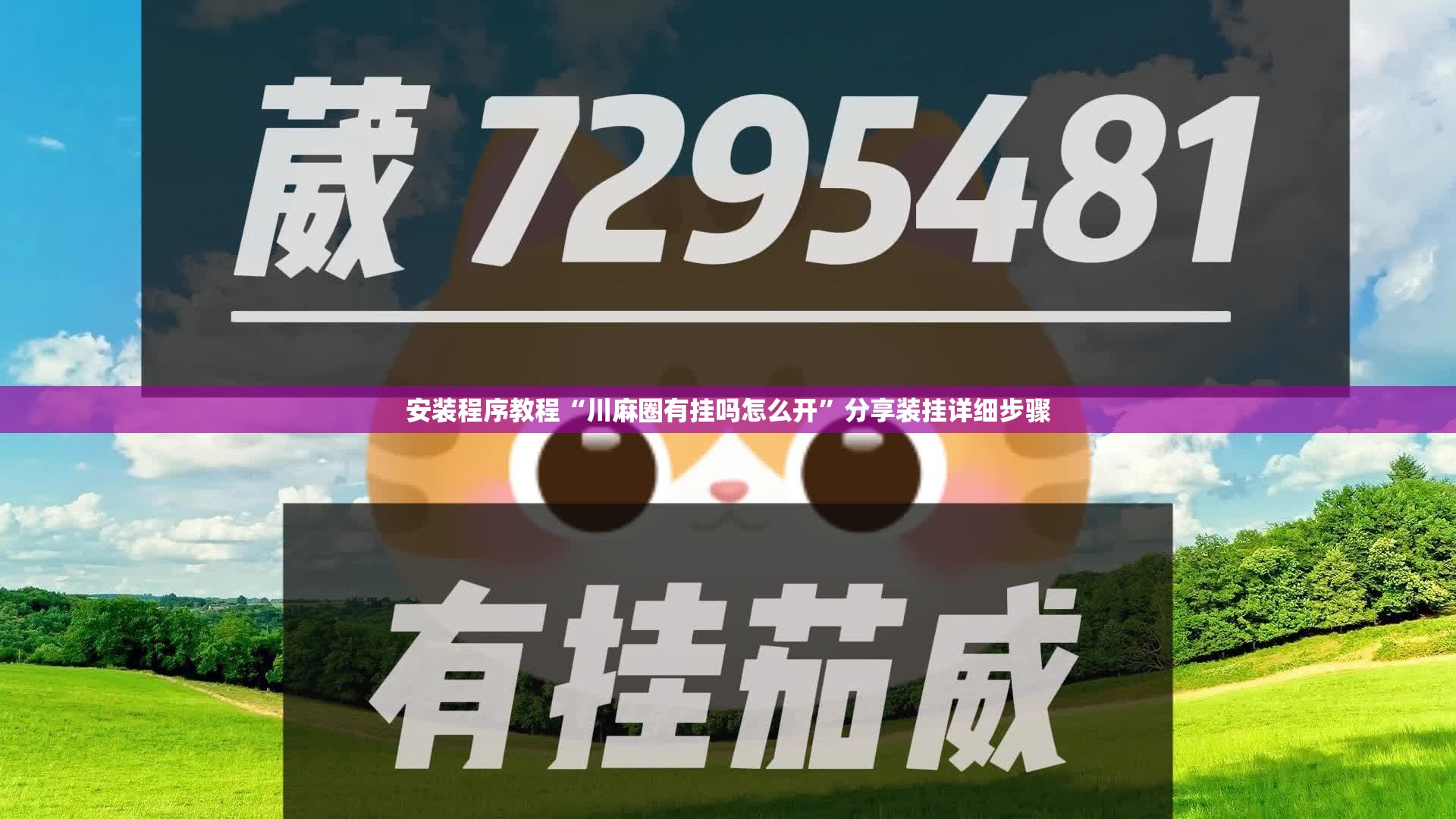 安装程序教程“川麻圈有挂吗怎么开”分享装挂详细步骤