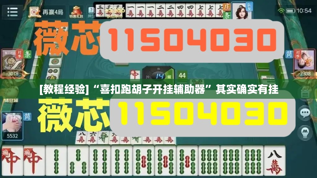 [教程经验]“喜扣跑胡子开挂辅助器”其实确实有挂