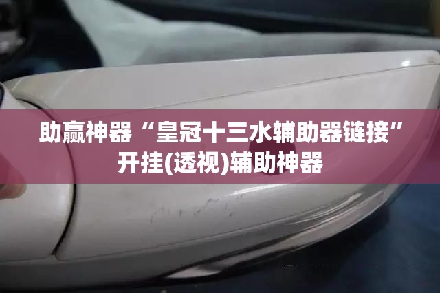 助赢神器“皇冠十三水辅助器链接	”开挂(透视)辅助神器