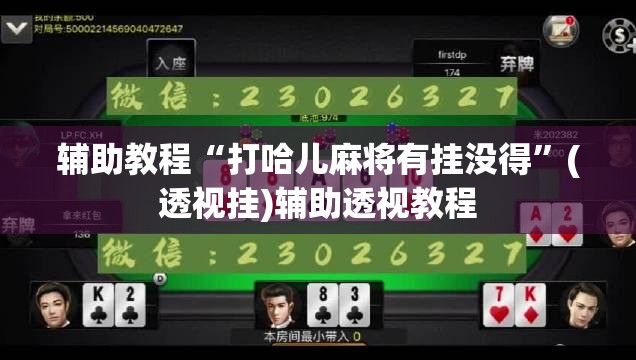 辅助教程“打哈儿麻将有挂没得”(透视挂)辅助透视教程