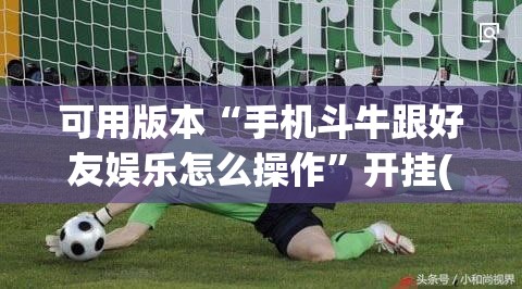 可用版本“手机斗牛跟好友娱乐怎么操作”开挂(透视)辅助教程