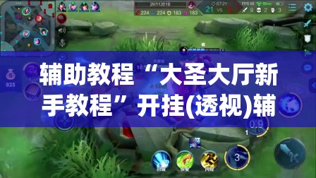 辅助教程“大圣大厅新手教程”开挂(透视)辅助神器