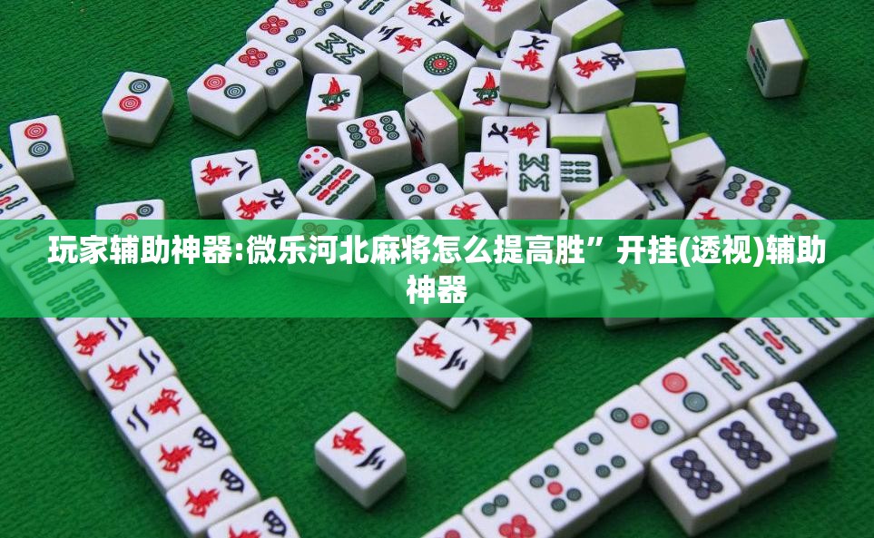 玩家辅助神器:微乐河北麻将怎么提高胜	”开挂(透视)辅助神器