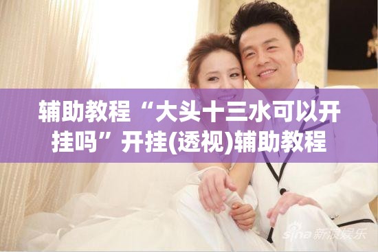 辅助教程“大头十三水可以开挂吗”开挂(透视)辅助教程