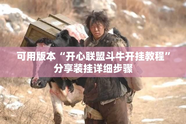 可用版本“开心联盟斗牛开挂教程”分享装挂详细步骤