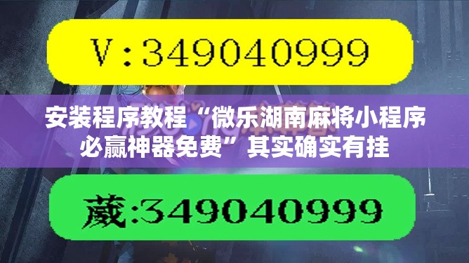 安装程序教程“微乐湖南麻将小程序必赢神器免费”其实确实有挂