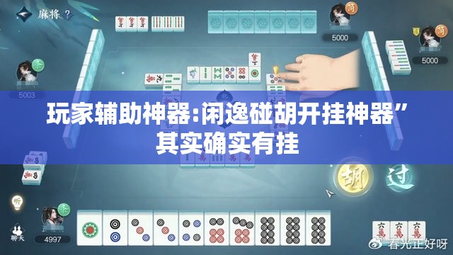 玩家辅助神器:闲逸碰胡开挂神器”其实确实有挂