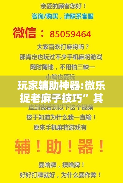 玩家辅助神器:微乐捉老麻子技巧”其实确实有挂
