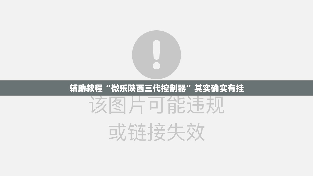 辅助教程“微乐陕西三代控制器	”其实确实有挂