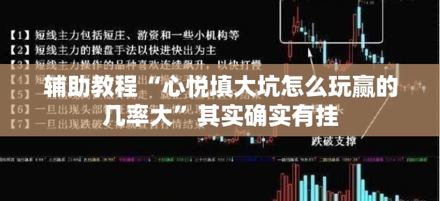 辅助教程“心悦填大坑怎么玩赢的几率大”其实确实有挂