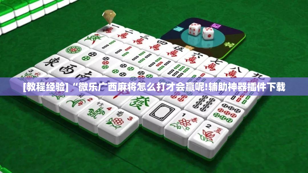 [教程经验]“微乐广西麻将怎么打才会赢呢!辅助神器插件下载