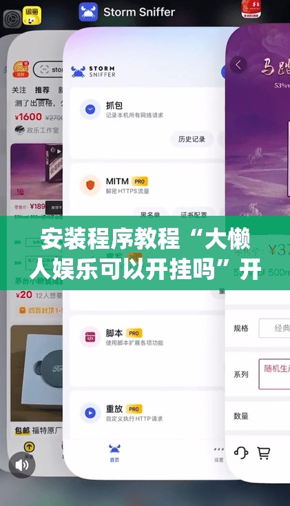 安装程序教程“大懒人娱乐可以开挂吗”开挂(透视)辅助教程