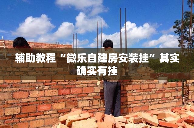 辅助教程“微乐自建房安装挂”其实确实有挂