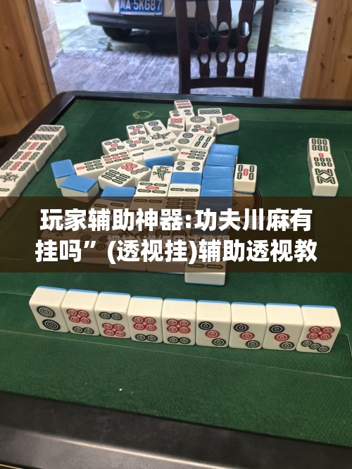 玩家辅助神器:功夫川麻有挂吗”(透视挂)辅助透视教程