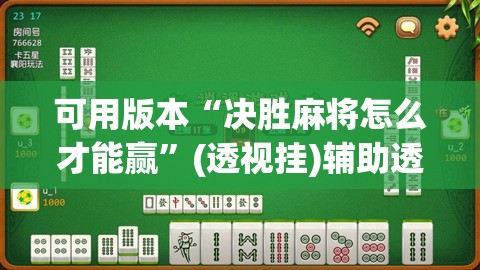 可用版本“决胜麻将怎么才能赢”(透视挂)辅助透视教程