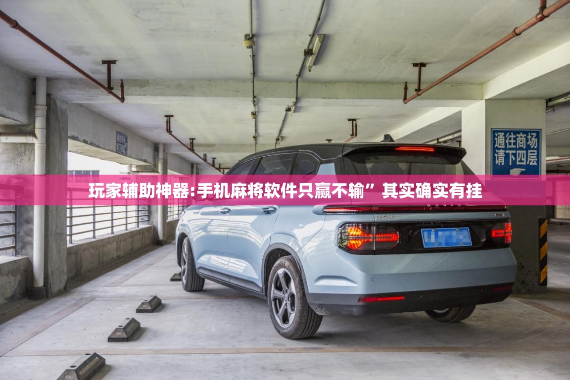 玩家辅助神器:手机麻将软件只赢不输	”其实确实有挂
