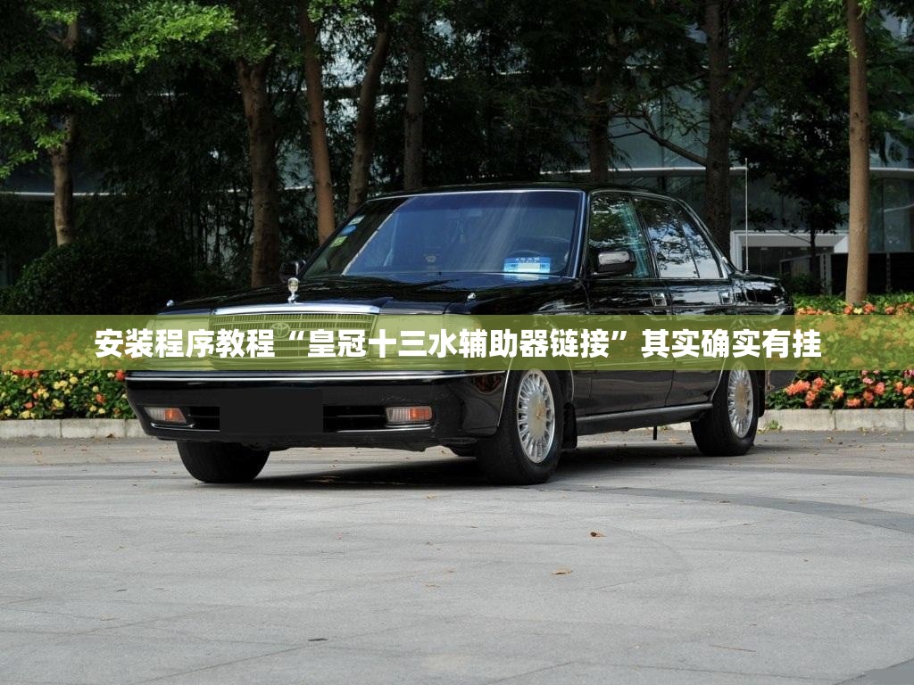 安装程序教程“皇冠十三水辅助器链接”其实确实有挂