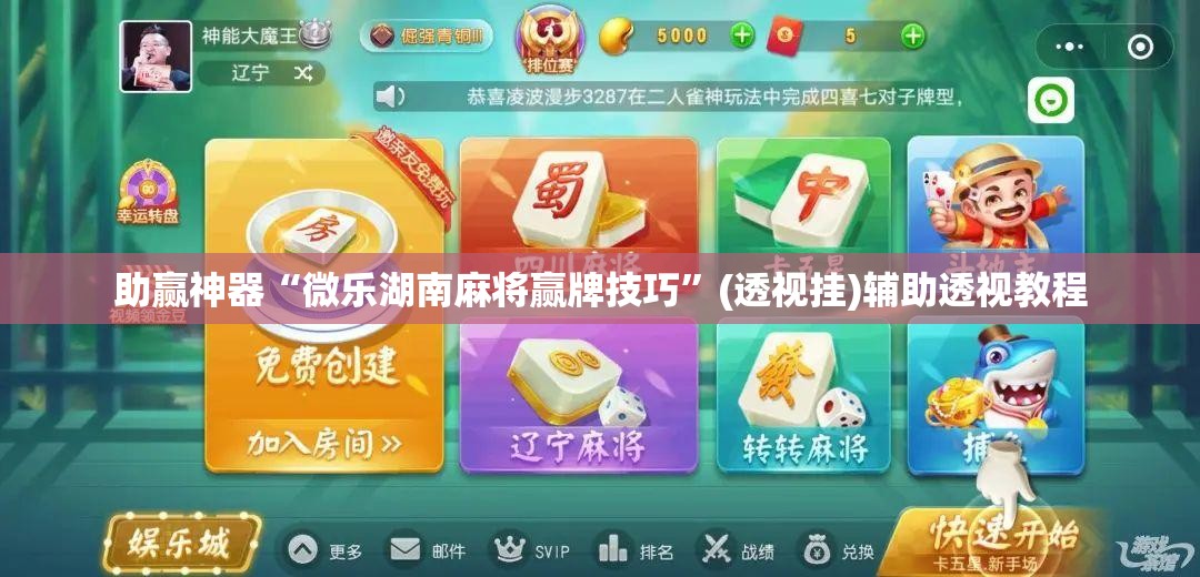 助赢神器“微乐湖南麻将赢牌技巧”(透视挂)辅助透视教程