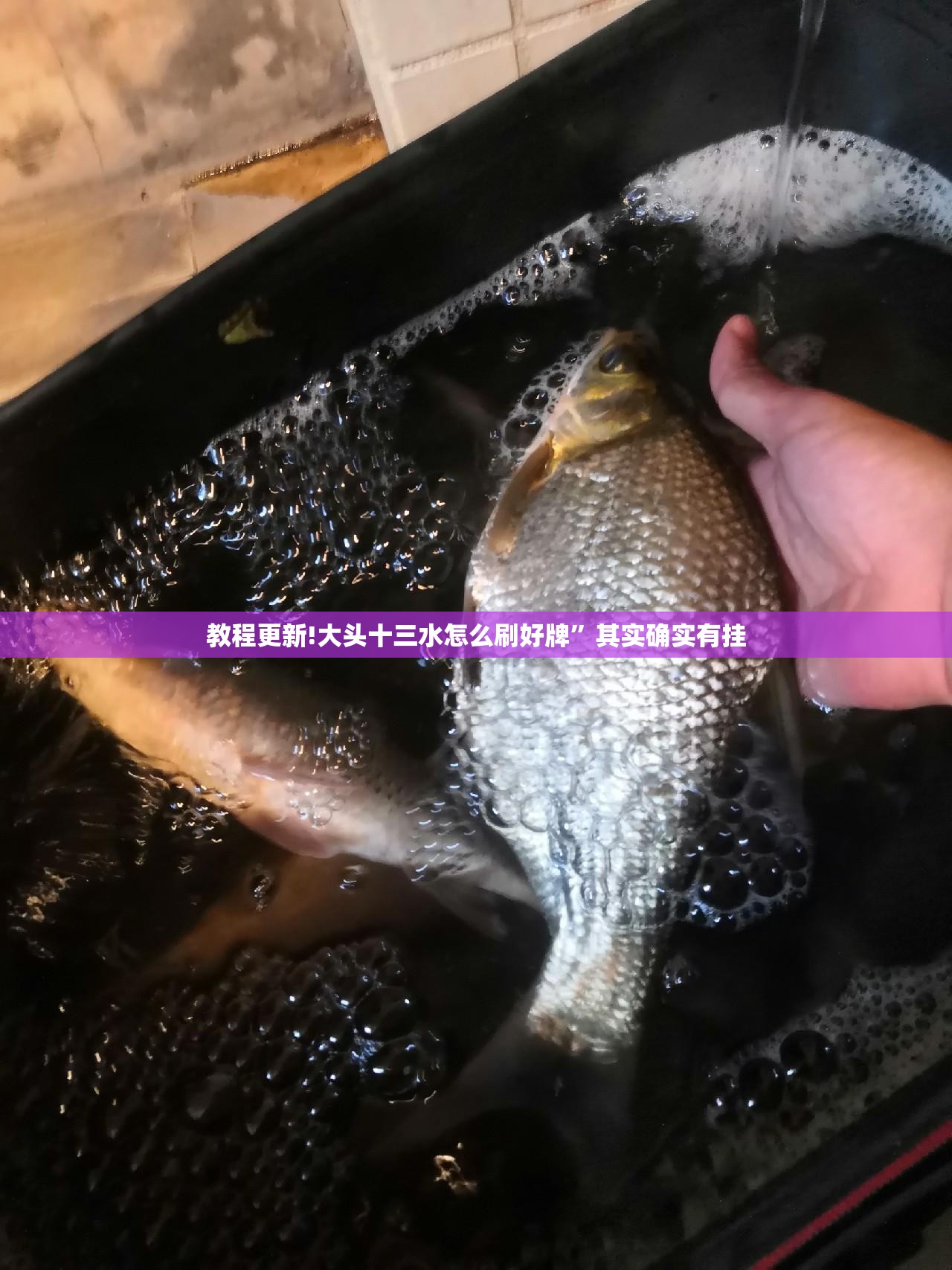 教程更新!大头十三水怎么刷好牌”其实确实有挂