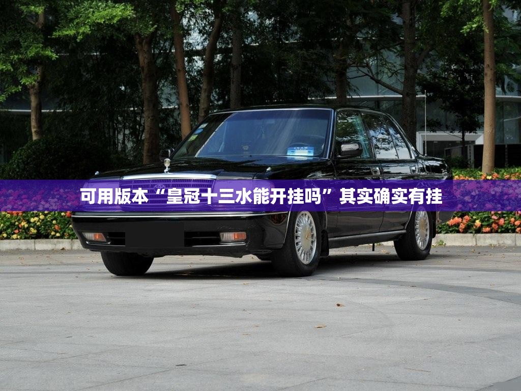 可用版本“皇冠十三水能开挂吗	”其实确实有挂