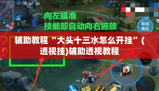 辅助教程“大头十三水怎么开挂”(透视挂)辅助透视教程