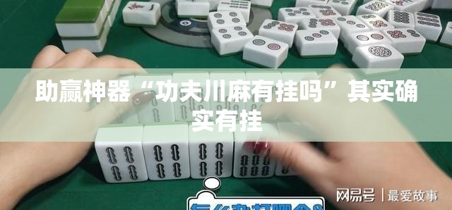 助赢神器“功夫川麻有挂吗”其实确实有挂