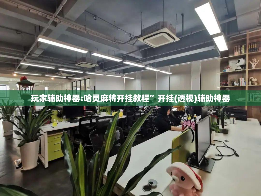 玩家辅助神器:哈灵麻将开挂教程”开挂(透视)辅助神器