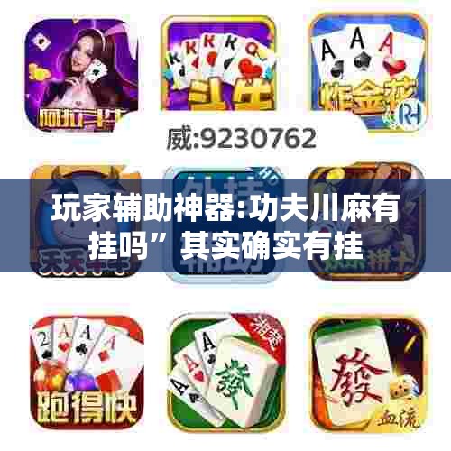 玩家辅助神器:功夫川麻有挂吗”其实确实有挂