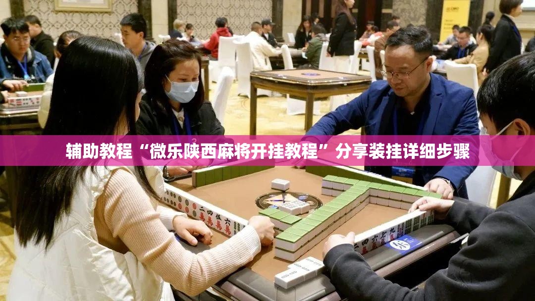 辅助教程“微乐陕西麻将开挂教程”分享装挂详细步骤