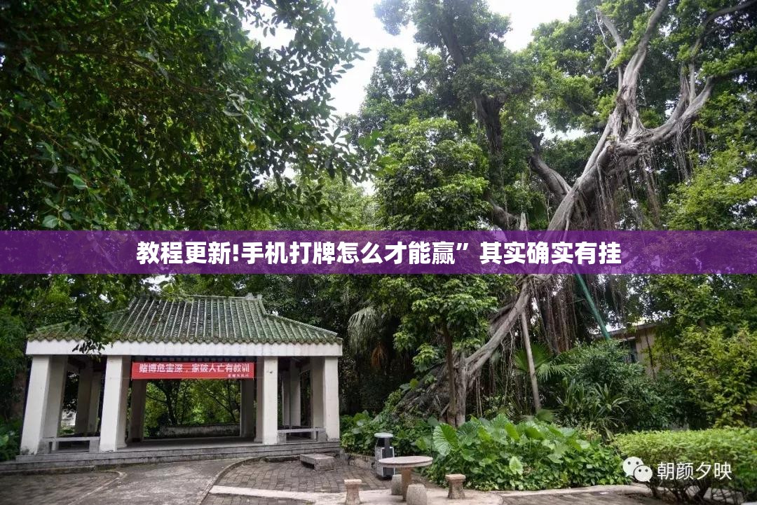 教程更新!手机打牌怎么才能赢	”其实确实有挂