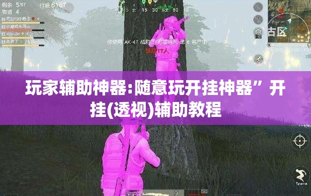 玩家辅助神器:随意玩开挂神器	”开挂(透视)辅助教程
