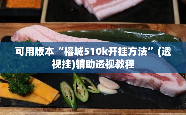 可用版本“榕城510k开挂方法”(透视挂)辅助透视教程