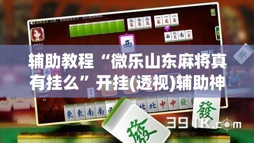 辅助教程“微乐山东麻将真有挂么”开挂(透视)辅助神器