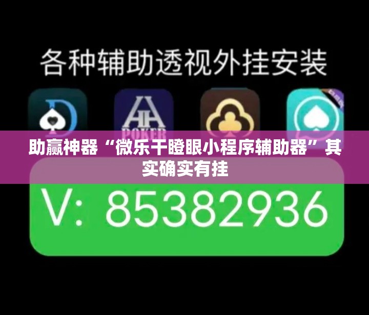 助赢神器“微乐干瞪眼小程序辅助器”其实确实有挂