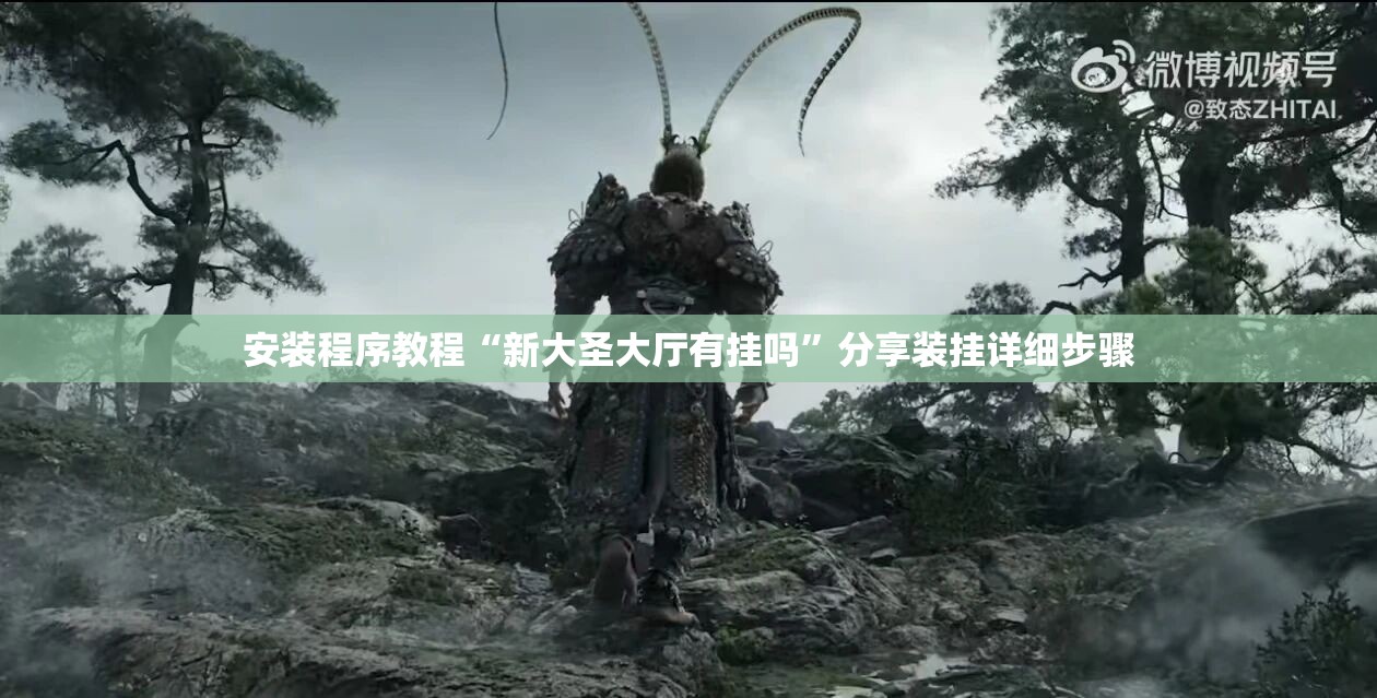 安装程序教程“新大圣大厅有挂吗	”分享装挂详细步骤