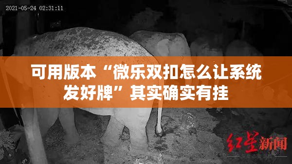 可用版本“微乐双扣怎么让系统发好牌”其实确实有挂