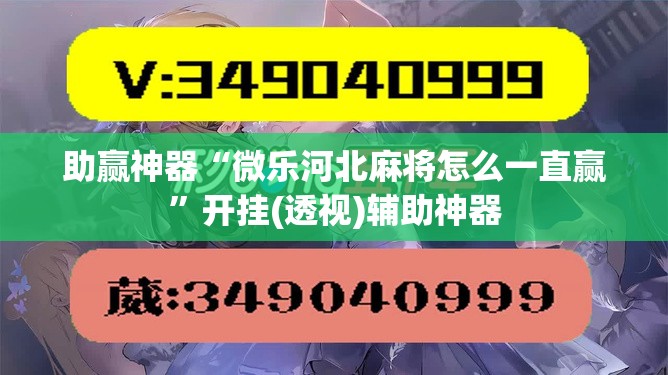 助赢神器“微乐河北麻将怎么一直赢”开挂(透视)辅助神器