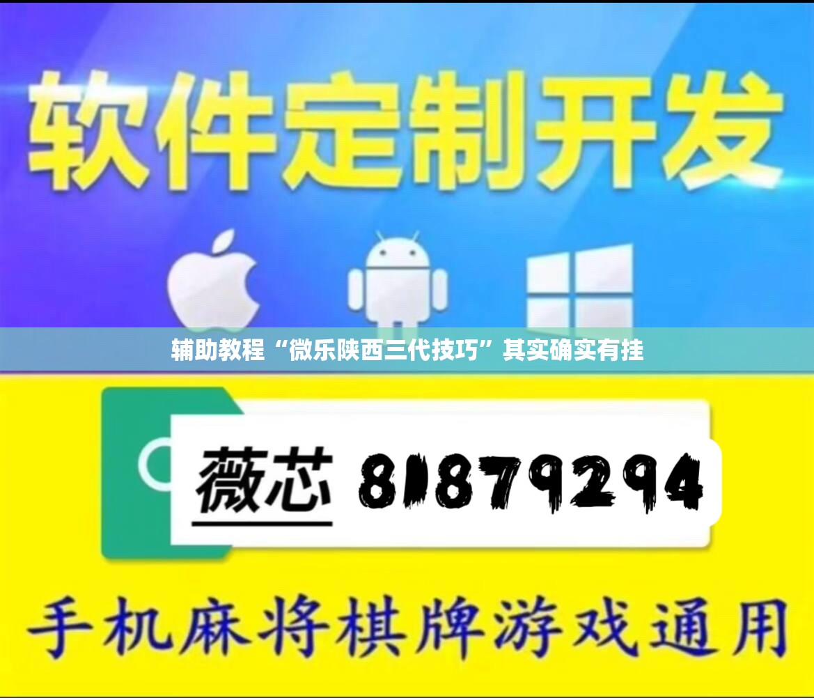 辅助教程“微乐陕西三代技巧	”其实确实有挂
