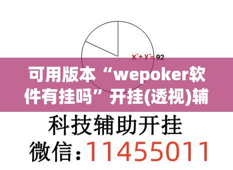 可用版本“wepoker软件有挂吗”开挂(透视)辅助神器