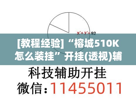 [教程经验]“榕城510K怎么装挂”开挂(透视)辅助神器