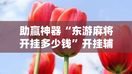 助赢神器“东游麻将开挂多少钱”开挂辅助脚本+详细开挂安装教程