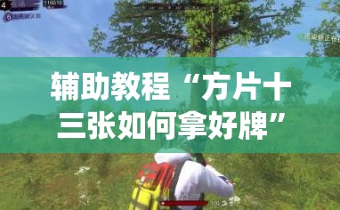 辅助教程“方片十三张如何拿好牌”开挂(透视)辅助神器